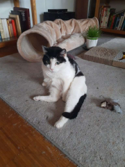 IMG_20200511_161915525