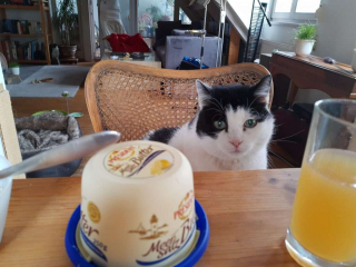 IMG_20200830_151809444