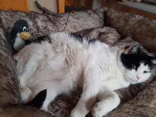 IMG_20200901_174359643