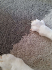 IMG_20210113_145023948