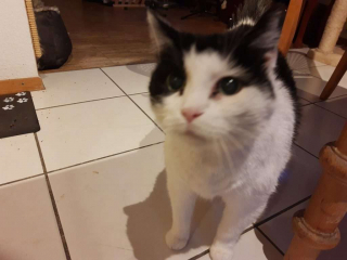 IMG_20210203_173301474