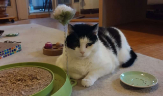 IMG_20210607_195849680