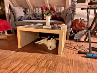 IMG_20210720_011741201