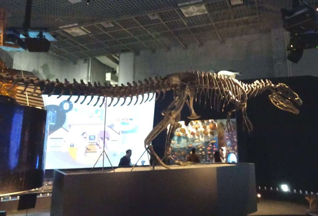 Dinosaur collection in the National Museum of Nature and Science