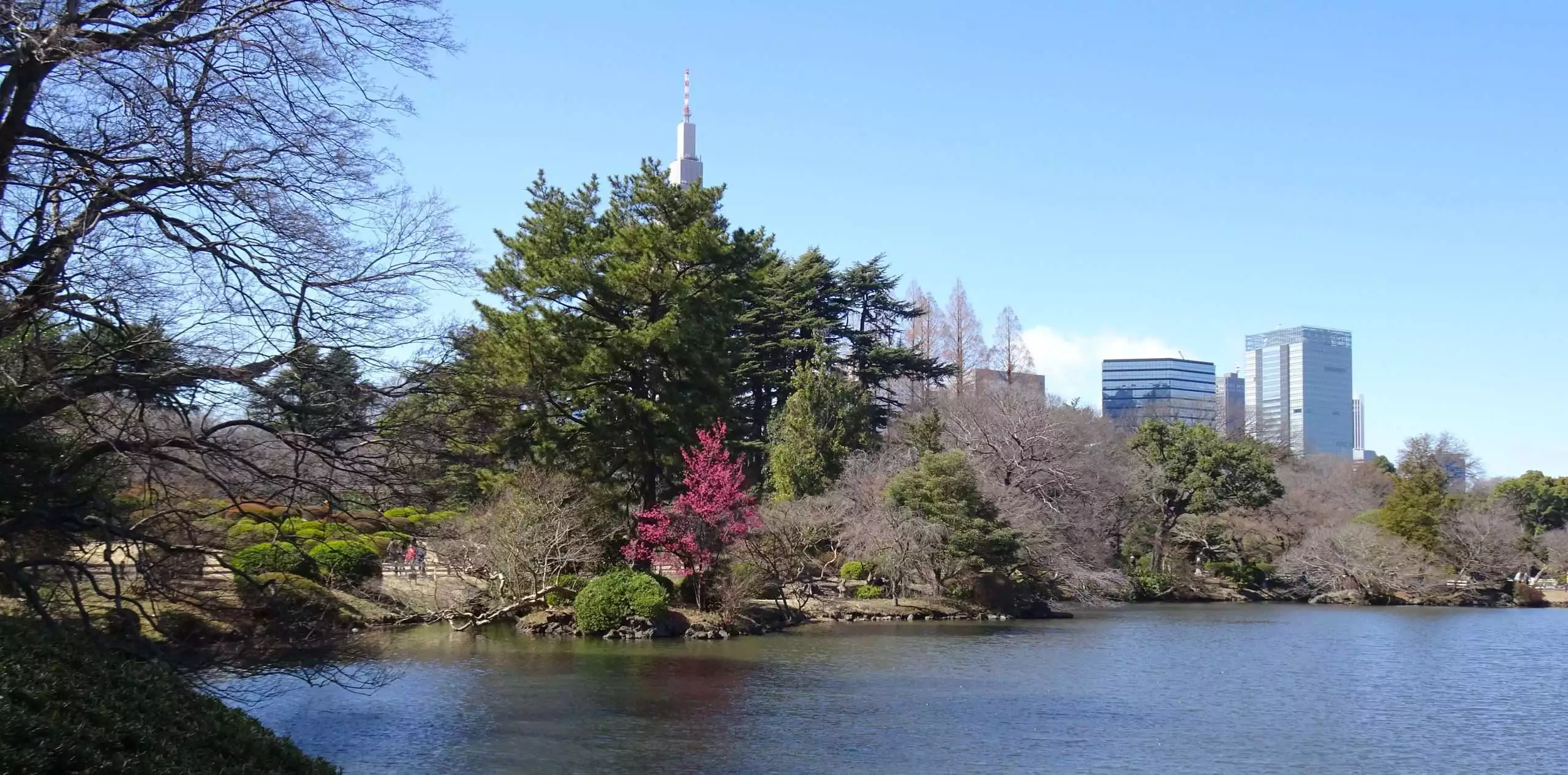 Shinjuku Gyoen