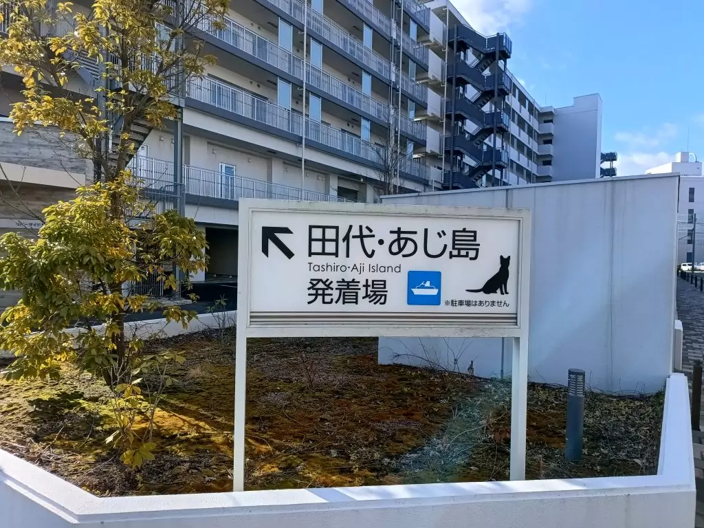 On my way to the cat island