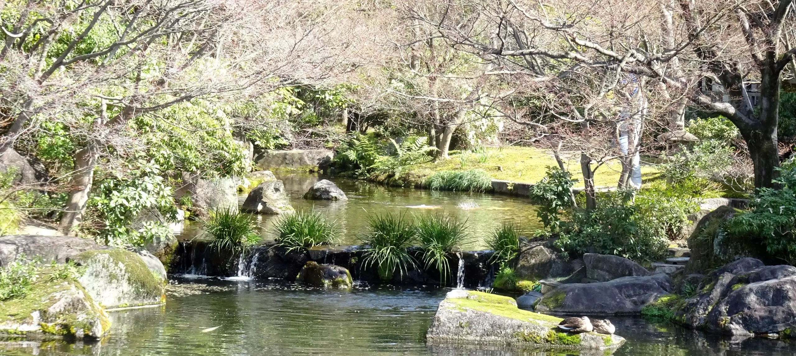 Himeji Castle Garden
